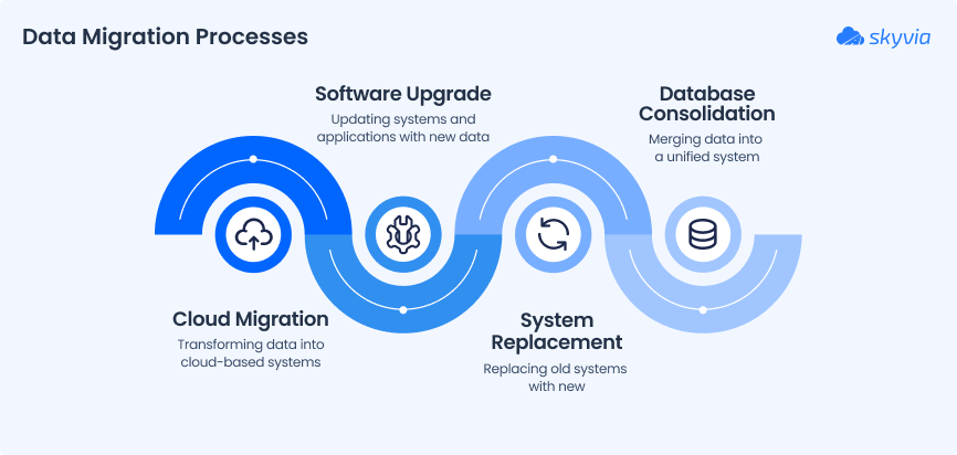 Data Migration Processes 