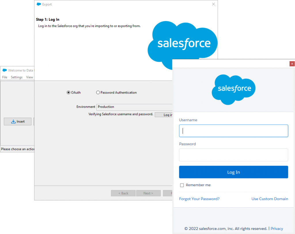 Exporting Salesforce Data via Data Loader Export Wizard: Step 2