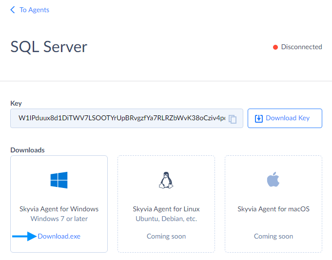 Creating an Agent for SQL server on-premise data integration in Skyvia 2