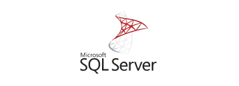 Microsoft SQL Server Integration Services logo