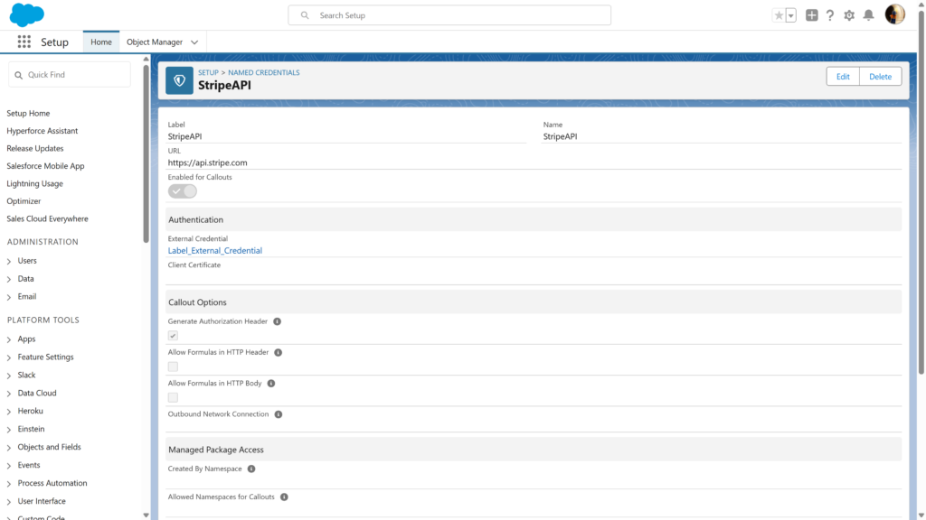 Stripe API