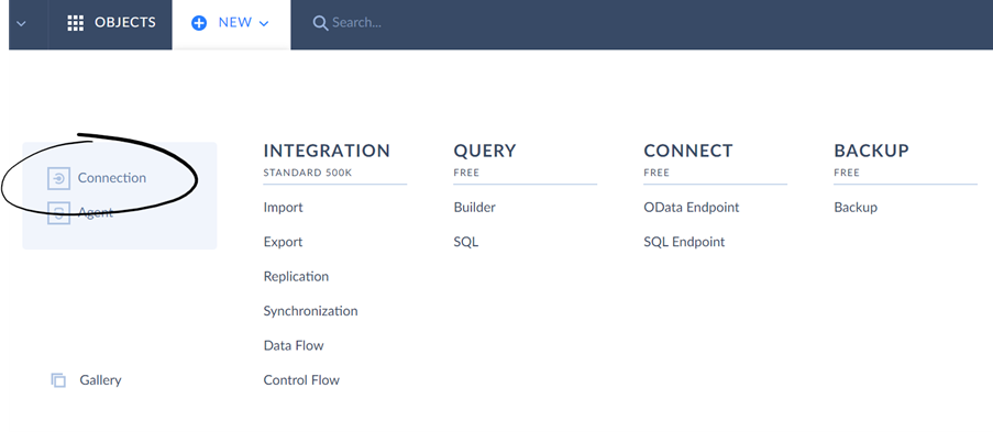 Establish connections via Skyvia