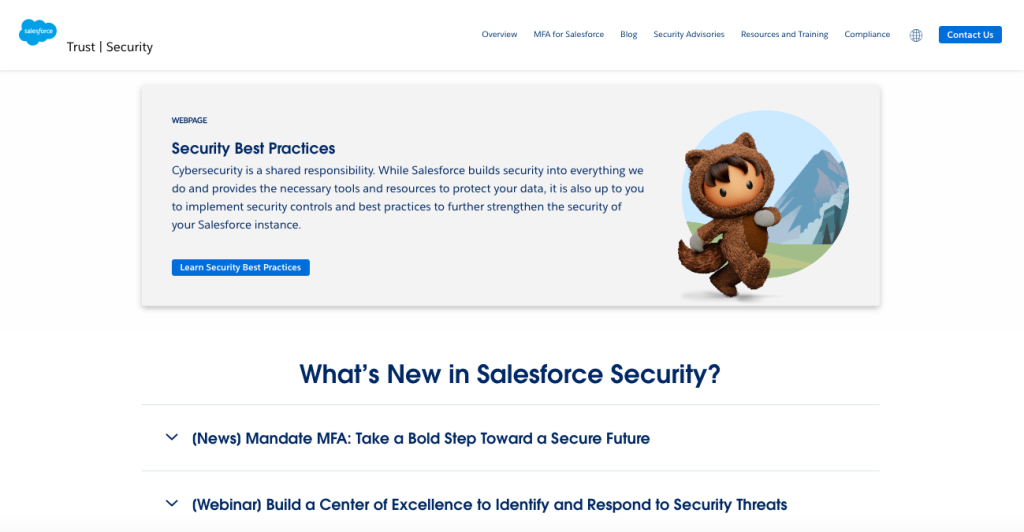 Salesforce Security