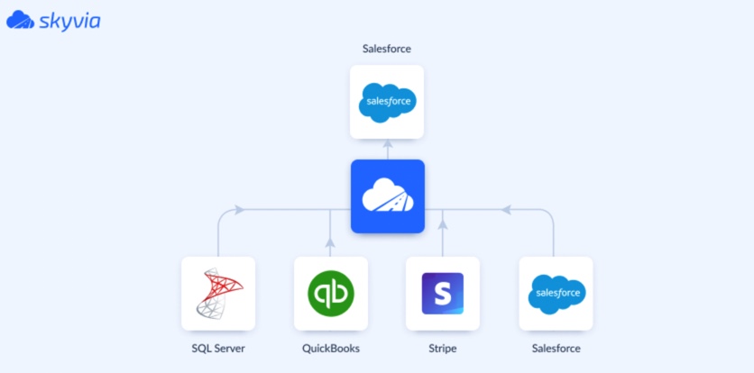 Cirrus Insight Case Study