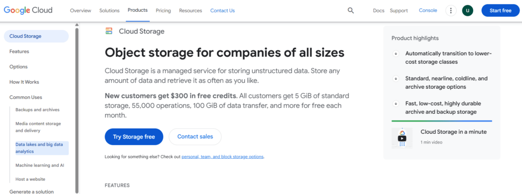 Google Cloud Storage (GCS) 