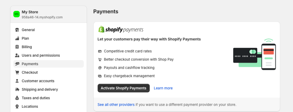 Shopify Payments