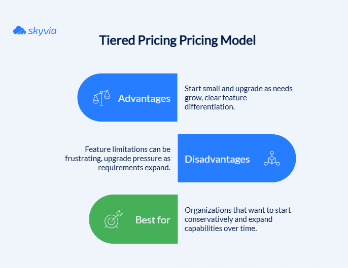 Key Aspects of Tiered Pricing Model