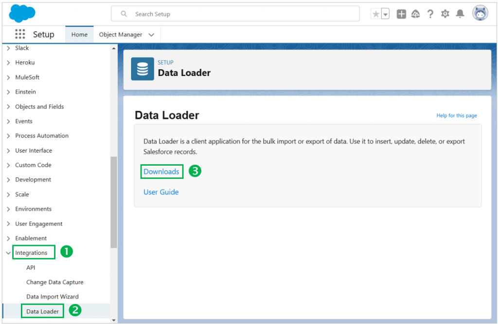 Data loader setup