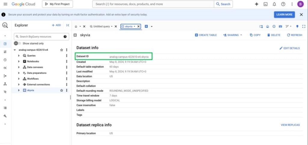 Google Data Service Dataset Info