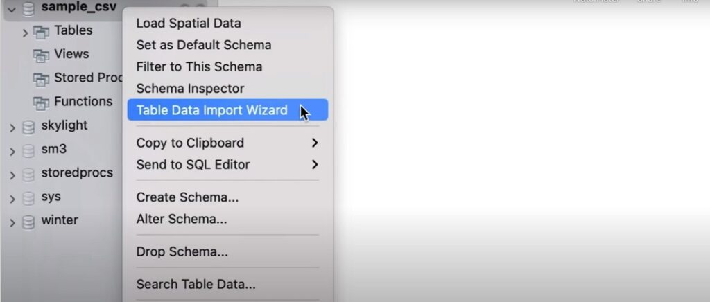 Table Data Import Wizard