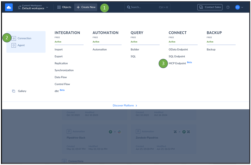 Log In to Skyvia and Click + Create New -> MCP Endpoint